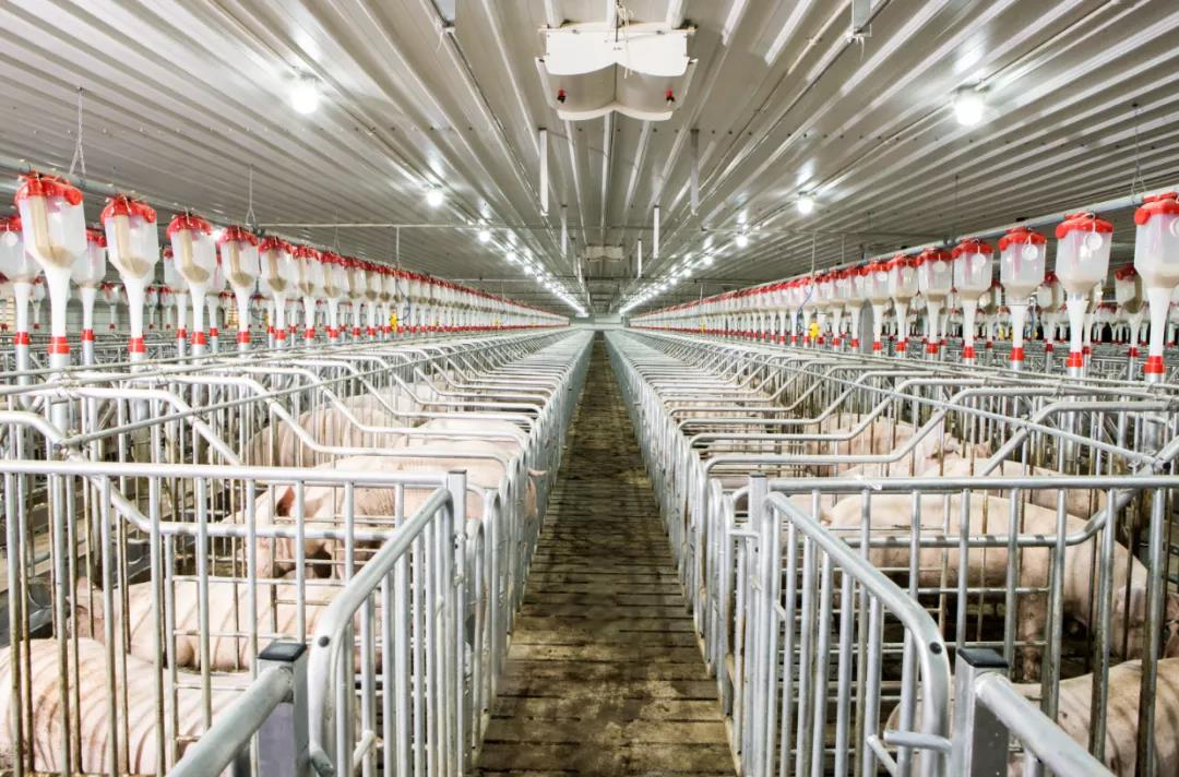 威廉希尔·williamhill(中国)中文官方网站