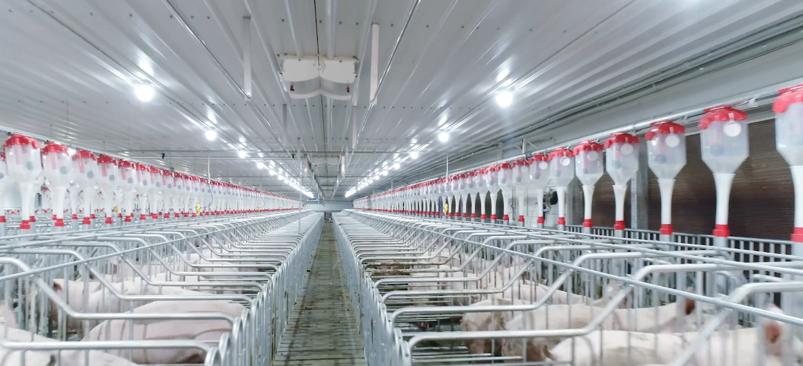 威廉希尔·williamhill(中国)中文官方网站