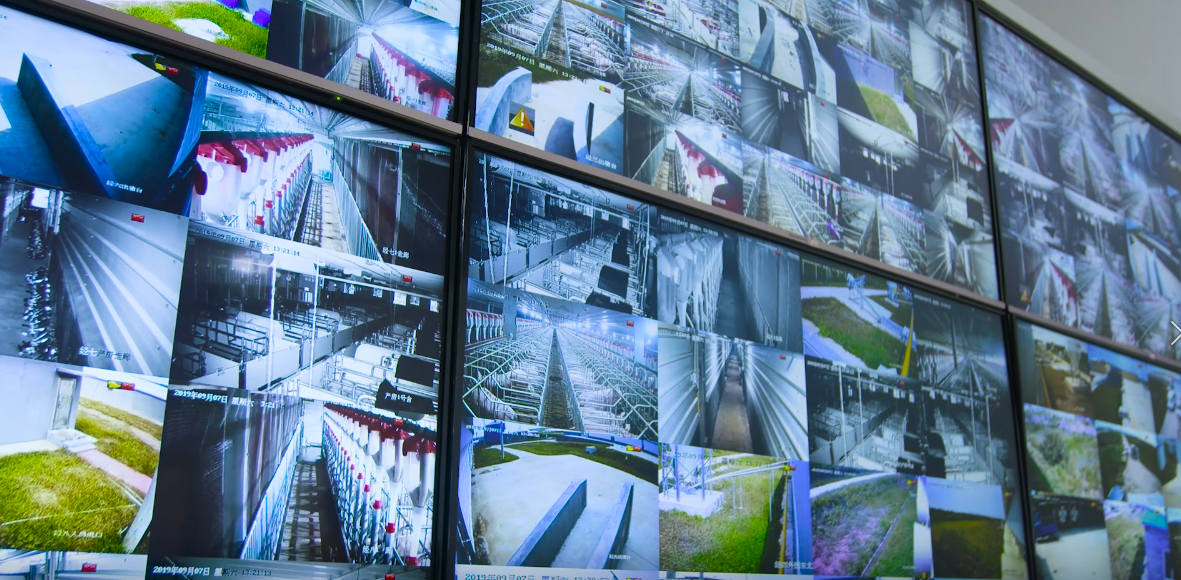 威廉希尔·williamhill(中国)中文官方网站