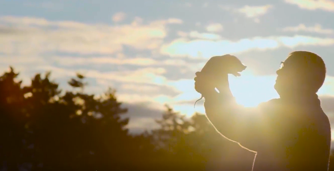 威廉希尔·williamhill(中国)中文官方网站