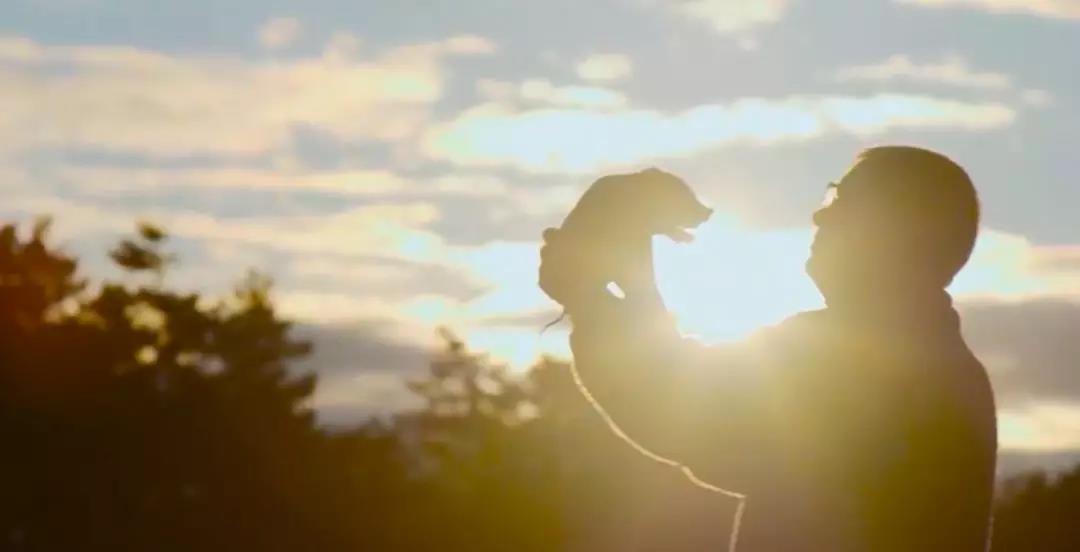 3.jpg ÍþÁ®Ï£¶û¡¤williamhill(Öйú)ÖÐÎĹٷ½ÍøÕ¾