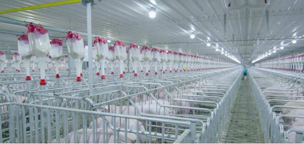 威廉希尔·williamhill(中国)中文官方网站