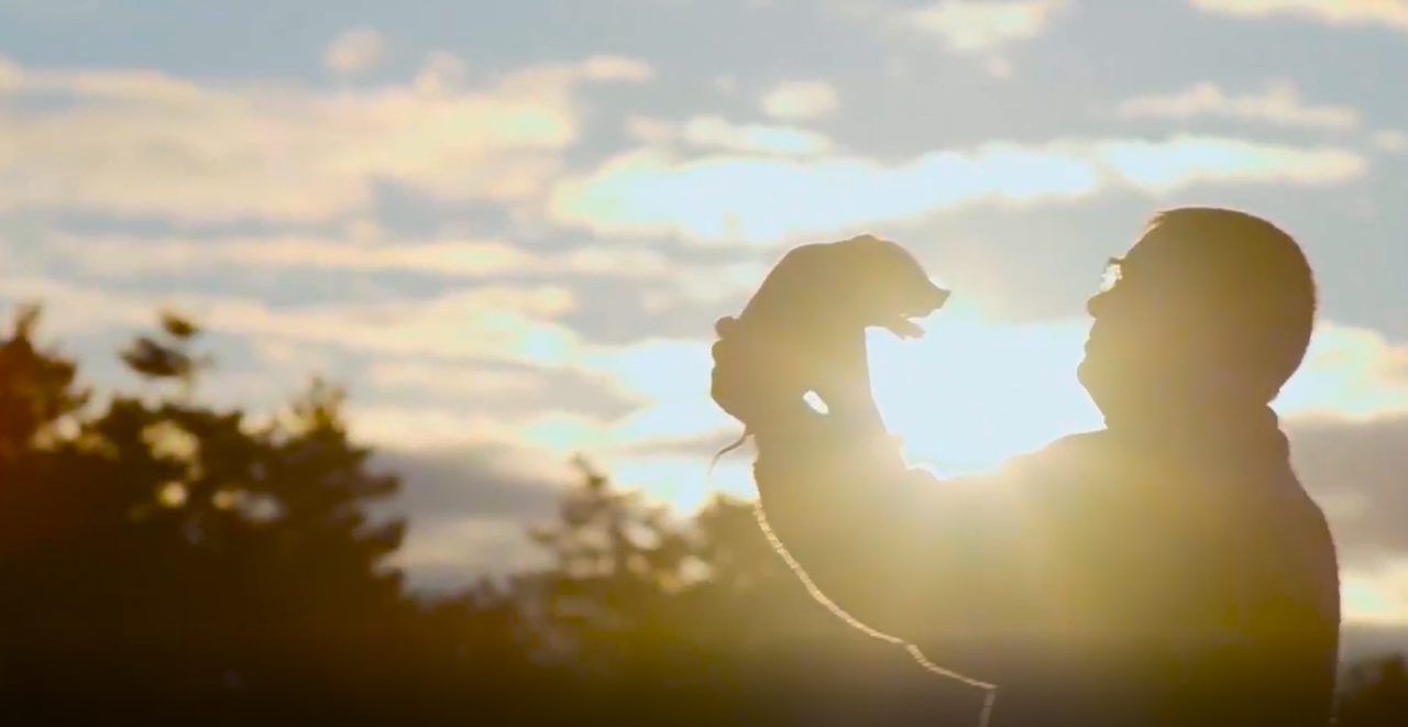 ����ϣ����williamhill(�й�)���Ĺٷ���վ