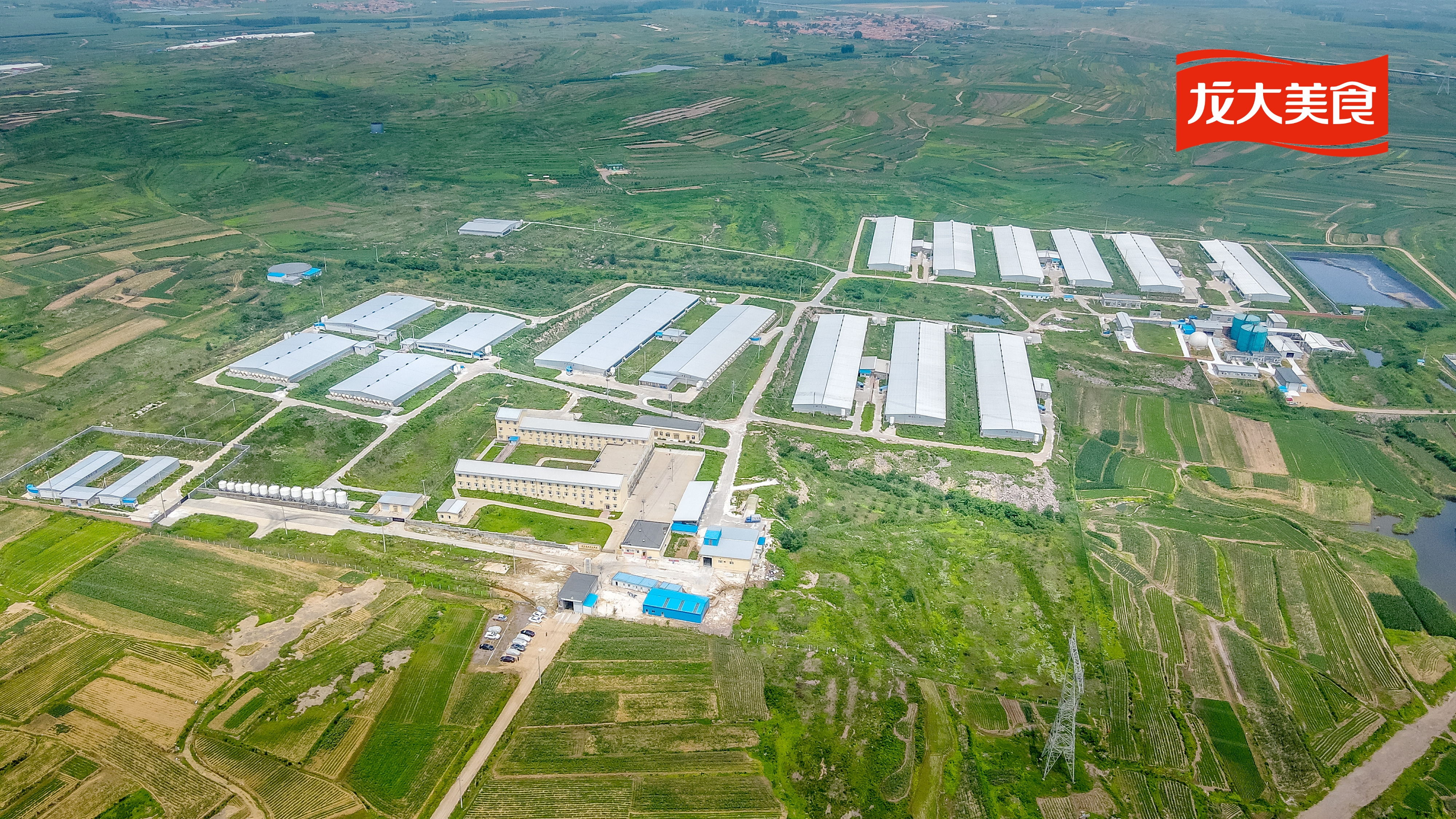 WilliamHill�ٷ���վ��ʳ˳���������ɺ�������WilliamHill�ٷ���վ���������������У�